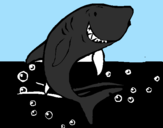 Desenho Tubarão pintado por LUCAS