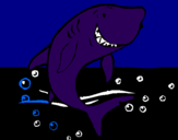 Desenho Tubarão pintado por Milena Amábile