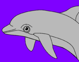 Desenho Golfinho pintado por diogo