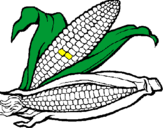 Desenho Espiga de milho  pintado por k