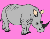 Desenho Rinoceronte pintado por maria fer