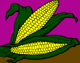 Desenho Espiga de milho  pintado por Ster