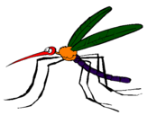 Desenho Mosquito pintado por gian lucas