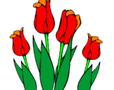 Desenho Tulipa pintado por li