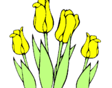 Desenho Tulipa pintado por camila