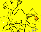 Desenho Camelo pintado por ENZO
