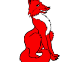 Desenho Raposa vermelha pintado por eva