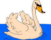 Desenho Cisne na água pintado por NATALIA