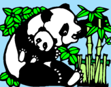 Desenho Mamã panda pintado por lili