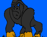 Desenho Gorila pintado por rafael