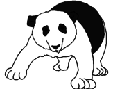 Desenho Urso panda pintado por arthur