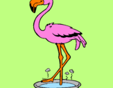 Desenho Flamingo com os pés de molho pintado por vick
