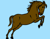 Desenho Cavalo a saltar pintado por brunao