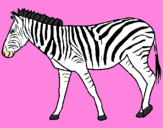 Desenho Zebra pintado por maria fer