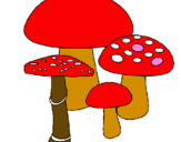 Desenho Cogumelos pintado por catarina