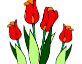 Desenho Tulipa pintado por guilda