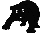 Desenho Urso panda pintado por aguilar