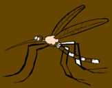 Desenho Mosquito pintado por lele