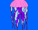 Desenho Medusa pintado por tubarao do mauricio