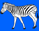 Desenho Zebra pintado por qqqq