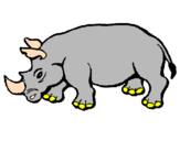 Desenho Rinoceronte pintado por Dany