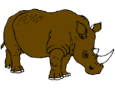Desenho Rinoceronte pintado por IGOR