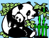 Desenho Mamã panda pintado por luiz