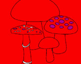 Desenho Cogumelos pintado por DANIELA