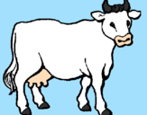 Desenho Vaca pintado por joão netto
