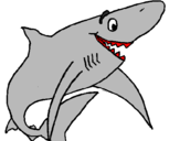 Desenho Tiburão alegre pintado por Feraligatir