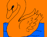 Desenho Cisne pintado por samira ayumi