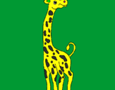 Desenho Girafa pintado por TOMAS