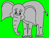 Desenho Elefante feliz pintado por danilo