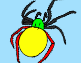 Desenho Aranha venenosa pintado por kauan