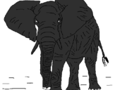 Desenho Elefante pintado por bruninhu 3 anos