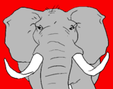 Desenho Elefante africano pintado por rebeca