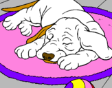 Desenho Cão a dormir pintado por Gabriele