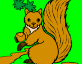 Desenho Esquilo pintado por arlette