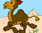 Desenho Camelo pintado por brunaobmc