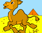 Desenho Camelo pintado por carol e ana luiza