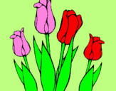 Desenho Tulipa pintado por Bianca