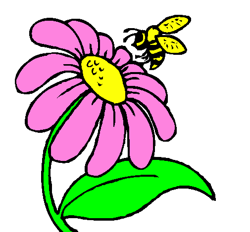 Desenho Margarida com abelha pintado por roberta moreira leite 