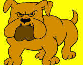 Desenho Cão Bulldog pintado por niccolas