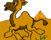 Desenho Camelo pintado por gabriel