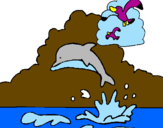 Desenho Golfinho e gaviota pintado por asterisqui