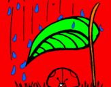 Desenho Joaninha protegida da chuva pintado por lucas