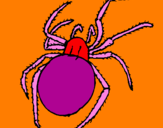 Desenho Aranha venenosa pintado por icaro