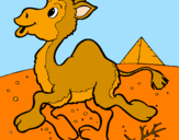 Desenho Camelo pintado por carlota a.
