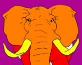 Desenho Elefante africano pintado por elisabete