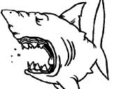 Desenho Tubarão pintado por vd